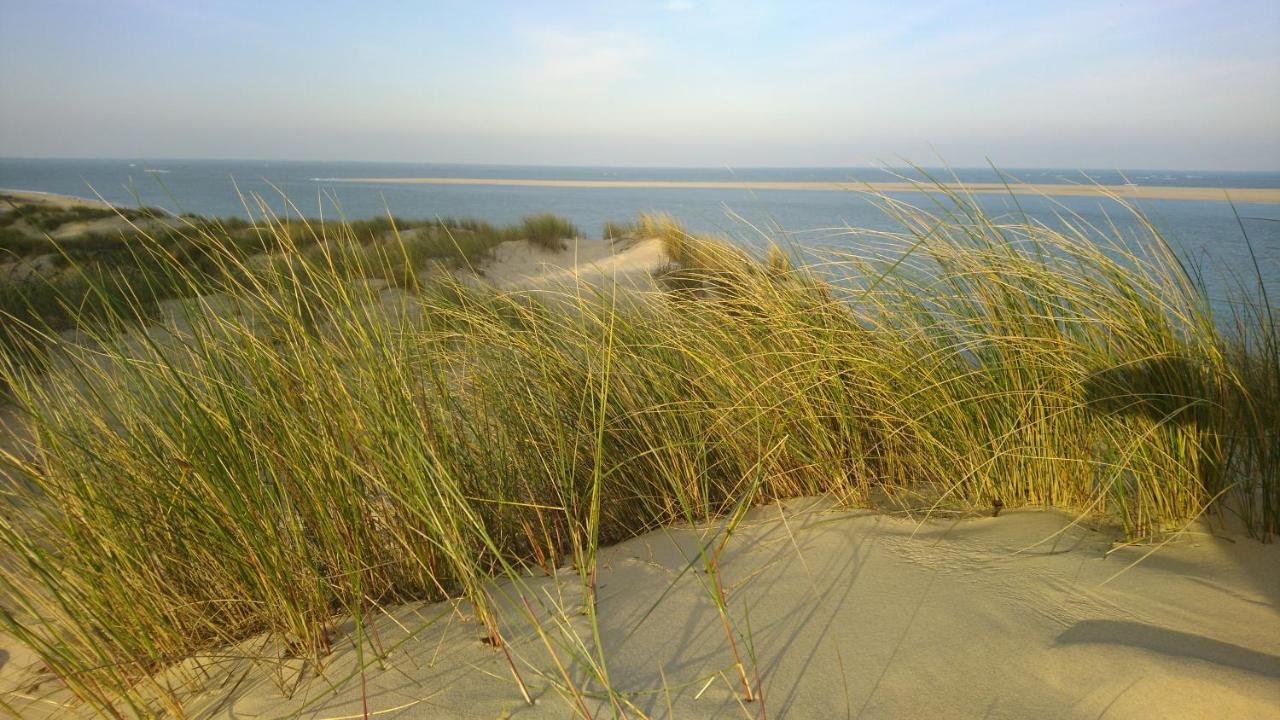 Cottage La Dune Avec Piscine Les Cigales Du Bassin A غوجان-ميستراس المظهر الخارجي الصورة